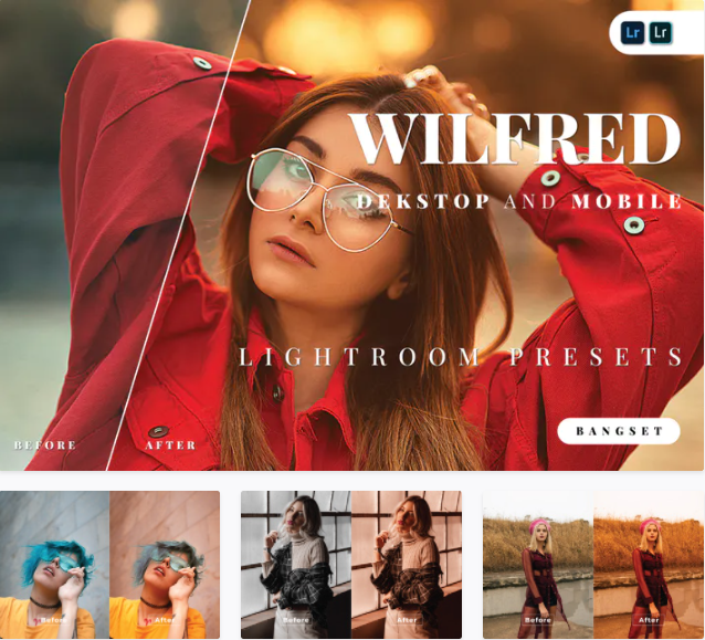 [Elements.Envato] Wilfred Desktop and Mobile Light_0.png